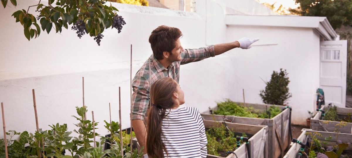 conseils entretien jardin extérieur