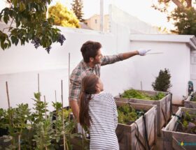conseils entretien jardin extérieur