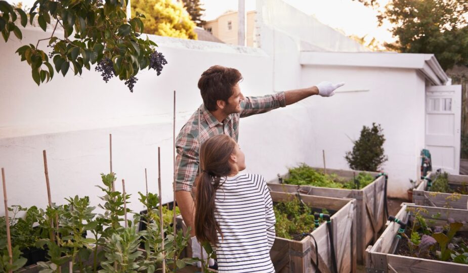 conseils entretien jardin extérieur